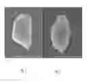 Fig. 08 - Abrasive particles having a unique morphology