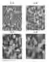 Fig. 09 - Abrasive particles having a unique morphology