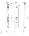 Fig. 07 - RECORDS EXCHANGE SYSTEM AND METHOD THEREFOR