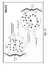 Fig. 16 - Techniques for wireless transmitter location detection