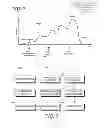 Fig. 03 - Regulated games: multi-act games