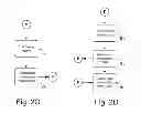 Fig. 04 - Image display system with visual server