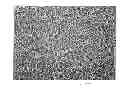 Fig. 01 - Production of a catalytically active, metallized reactive foam material and use thereof