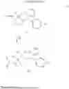 Fig. 22 - Azole derivative, method for producing same, intermediate compound, and agricultural or horticultural chemical agent and industrial material protecting agent