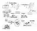 Fig. 01 - Mutations in pancreatic neoplasms