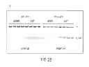 Fig. 04 - Mutations in pancreatic neoplasms
