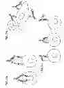 Fig. 03 - Methods for the generation of multispecific and multivalent antibodies