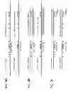 Fig. 06 - Methods for the generation of multispecific and multivalent antibodies
