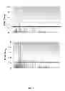 Fig. 07 - METHODS FOR IDENTIFYING INFLAMMATORY BOWEL DISEASE PATIENTS WITH DYSPLASIA OR CANCER