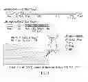 Fig. 05 - Immunoglobulin Fc libraries