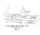 Fig. 10 - Immunoglobulin Fc libraries