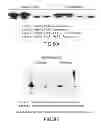 Fig. 12 - Immunoglobulin Fc libraries