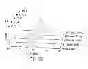 Fig. 26 - Immunoglobulin Fc libraries