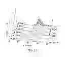 Fig. 27 - Immunoglobulin Fc libraries