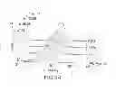 Fig. 30 - Immunoglobulin Fc libraries