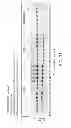 Fig. 37 - Immunoglobulin Fc libraries