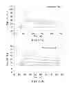 Fig. 46 - Immunoglobulin Fc libraries