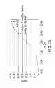 Fig. 48 - Immunoglobulin Fc libraries