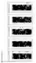 Fig. 20 - Microarrays