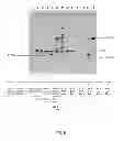Fig. 07 - Methods and kits for 3′-end-tagging of RNA