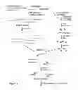 Fig. 02 - COMPOSITIONS AND METHODS FOR SELECTION OF NUCLEIC ACIDS CONTAINING MODIFIED BASES