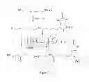 Fig. 03 - COMPOSITIONS AND METHODS FOR SELECTION OF NUCLEIC ACIDS CONTAINING MODIFIED BASES
