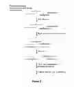 Fig. 04 - COMPOSITIONS AND METHODS FOR SELECTION OF NUCLEIC ACIDS CONTAINING MODIFIED BASES