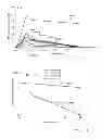 Fig. 03 - Compounds containing a vascular disrupting agent