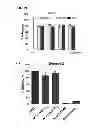 Fig. 04 - Apolipoprotein E polypeptides and their use