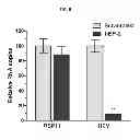 Fig. 12 - Apolipoprotein E polypeptides and their use