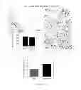 Fig. 06 - FGF-9 AND ITS USE RELATING TO BLOOD VESSELS