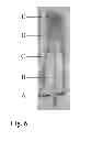 Fig. 07 - Viral inactivated biological mixture
