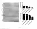 Fig. 02 - GHRH agonists for the treatment of ischemic disorders
