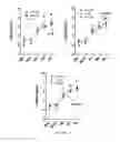 Fig. 14 - GHRH agonists for the treatment of ischemic disorders