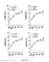 Fig. 16 - GHRH agonists for the treatment of ischemic disorders
