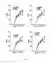 Fig. 23 - GHRH agonists for the treatment of ischemic disorders
