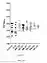Fig. 40 - GHRH agonists for the treatment of ischemic disorders