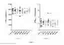 Fig. 54 - GHRH agonists for the treatment of ischemic disorders