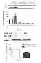 Fig. 04 - Materials and Methods Related to Sodium/Potassium Adenosine Triphosphatase and SRC
