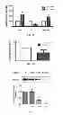 Fig. 07 - Materials and Methods Related to Sodium/Potassium Adenosine Triphosphatase and SRC