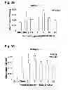 Fig. 05 - Peptides that stimulate subcutaneous adipogenesis