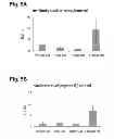Fig. 07 - Peptides that stimulate subcutaneous adipogenesis
