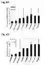 Fig. 10 - Peptides that stimulate subcutaneous adipogenesis
