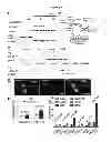 Fig. 02 - Cancer therapies and methods
