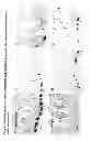 Fig. 09 - GENE EXPRESSION MARKERS FOR INFLAMMATORY BOWEL DISEASE