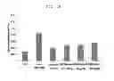 Fig. 19 - Compound isolated from quamoclit, and composition for preventing or treating diabetes containing the compound as an active ingredient