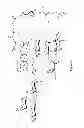 Fig. 09 - CYTOPROTECTIVE DERIVATIVES OF AVICIN D AND METHODS OF MAKING AND USING THEREOF