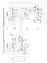 Fig. 22 - Substituted nucleosides, nucleotides and analogs thereof