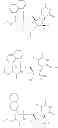 Fig. 239 - Substituted nucleosides, nucleotides and analogs thereof