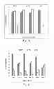 Fig. 03 - SLOWLY DIGESTING STARCH AND FERMENTABLE FIBER